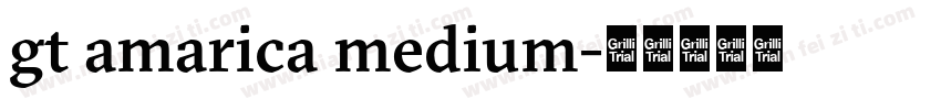 gt amarica medium字体转换